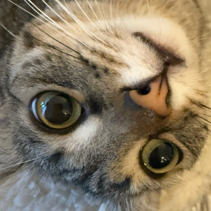 Eugene