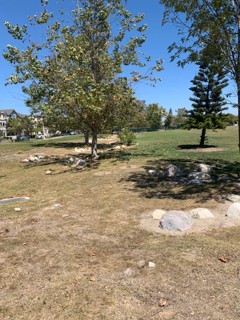 walking near me in Montalvo Hill Park in autumn