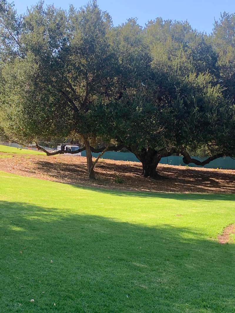 walking near me in Stagecoach Inn Park in autumn