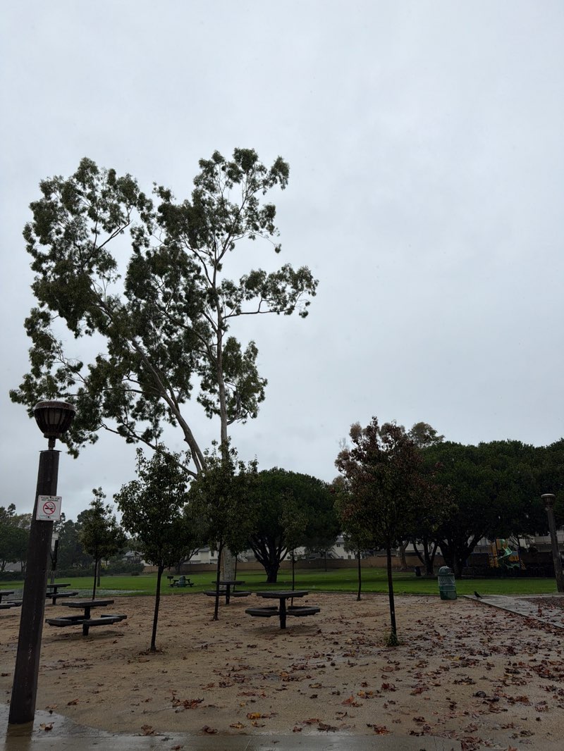 walking near me in Marion Cannon Park in autumn