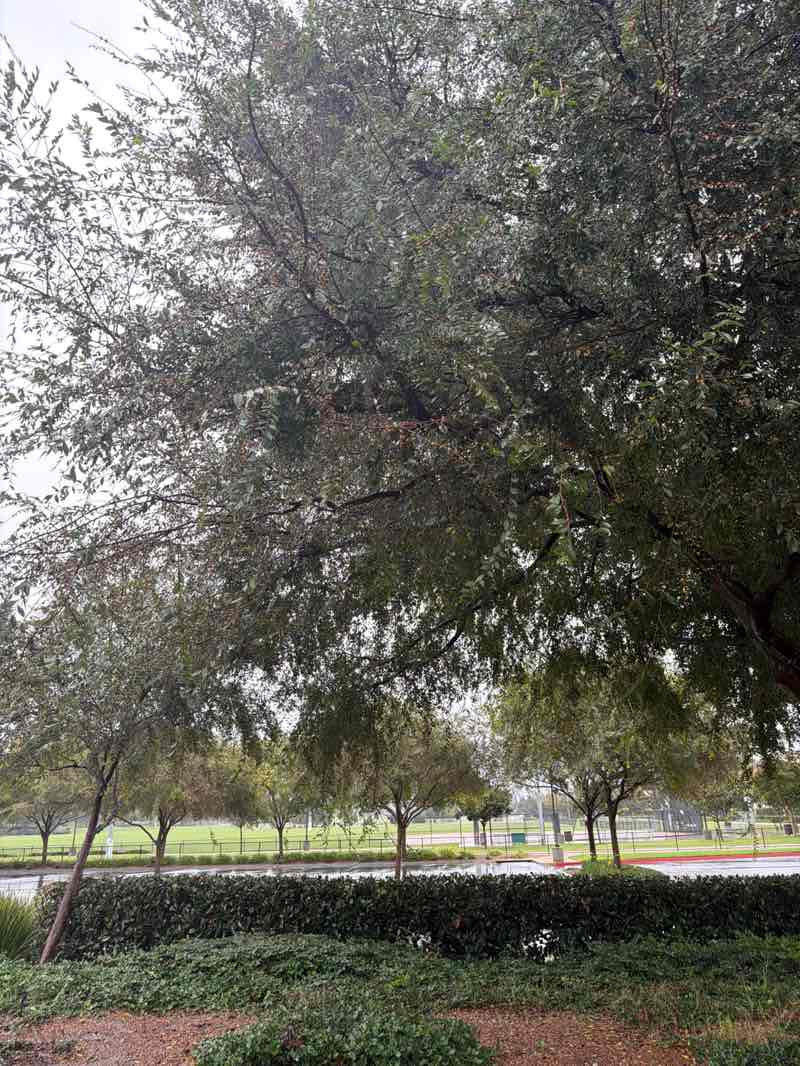 walking near me in Pleasant Valley Fields in autumn