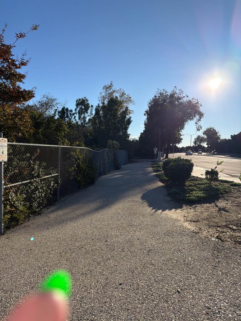 walking near me in Northbank Linear Park in autumn