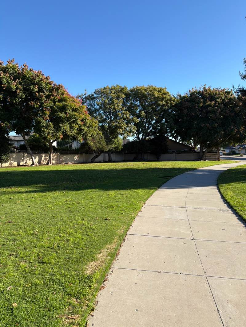 walking near me in Belaire Linear Park in autumn