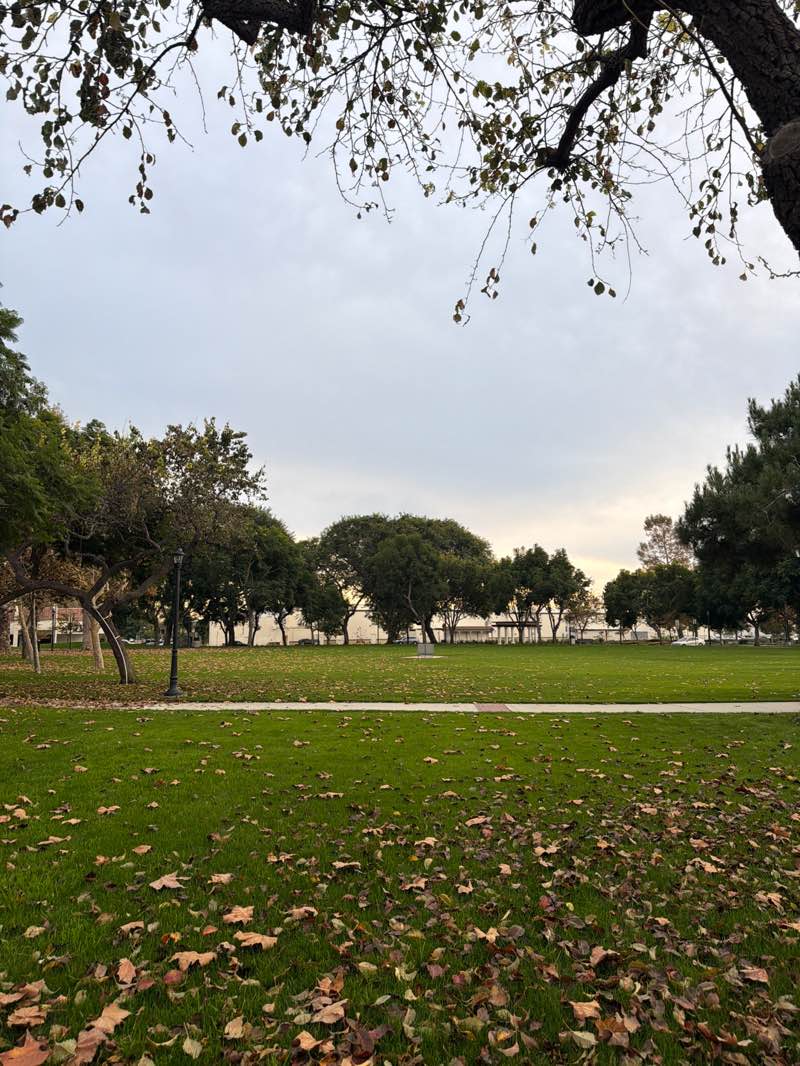 walking near me in Constitution Park in winter
