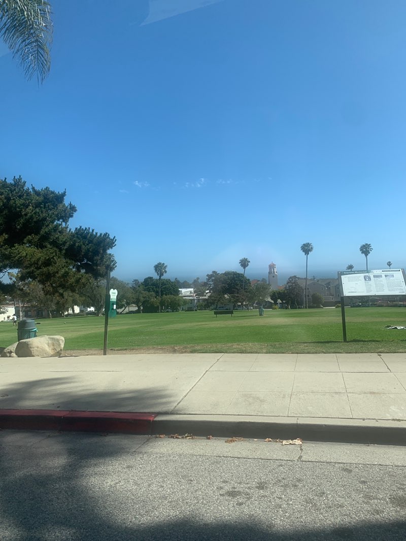 walking near me in Cemetery Memorial Park in summer