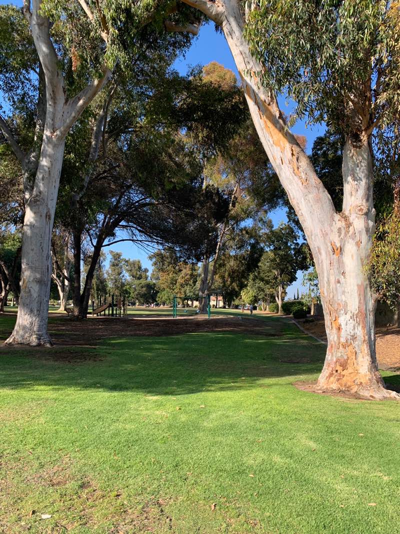 walking near me in Hobert Park in summer