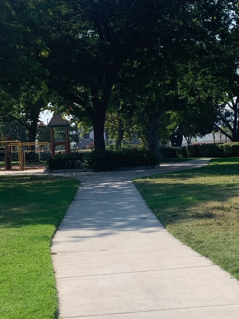 walking near me in Citrus Grove Park in summer