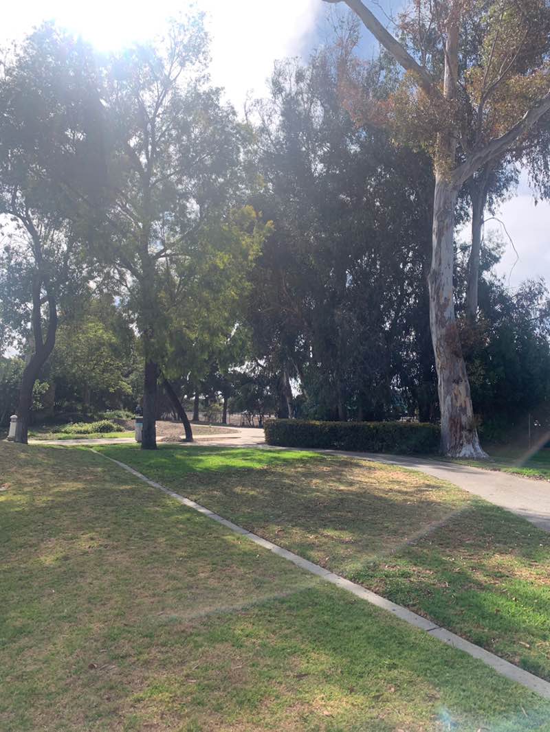 walking near me in County Square Linear Park in autumn