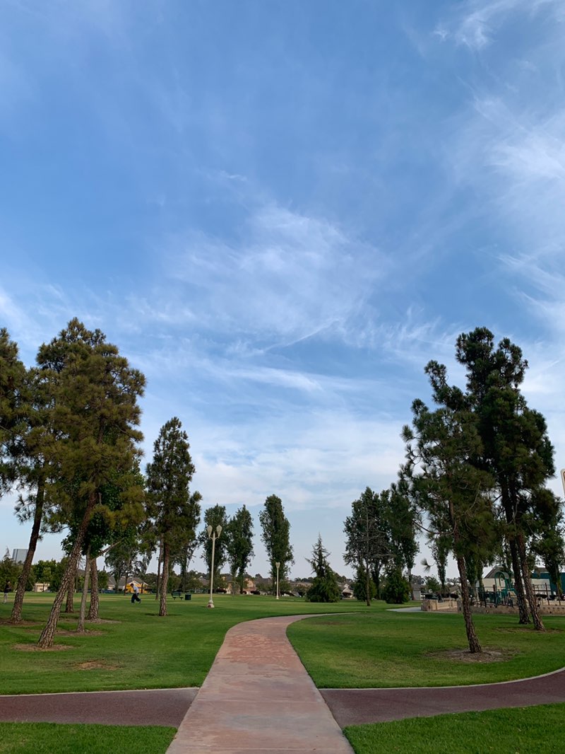 walking near me in Southbank Park in autumn
