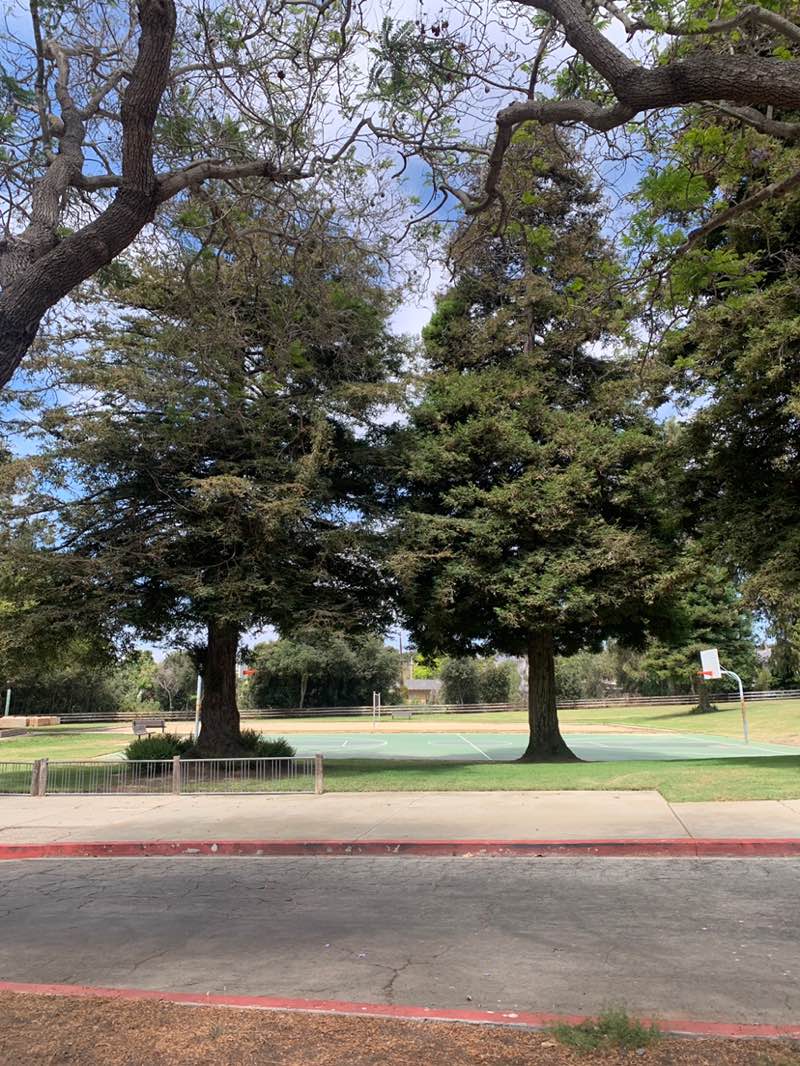 walking near me in Camino Real Park in autumn