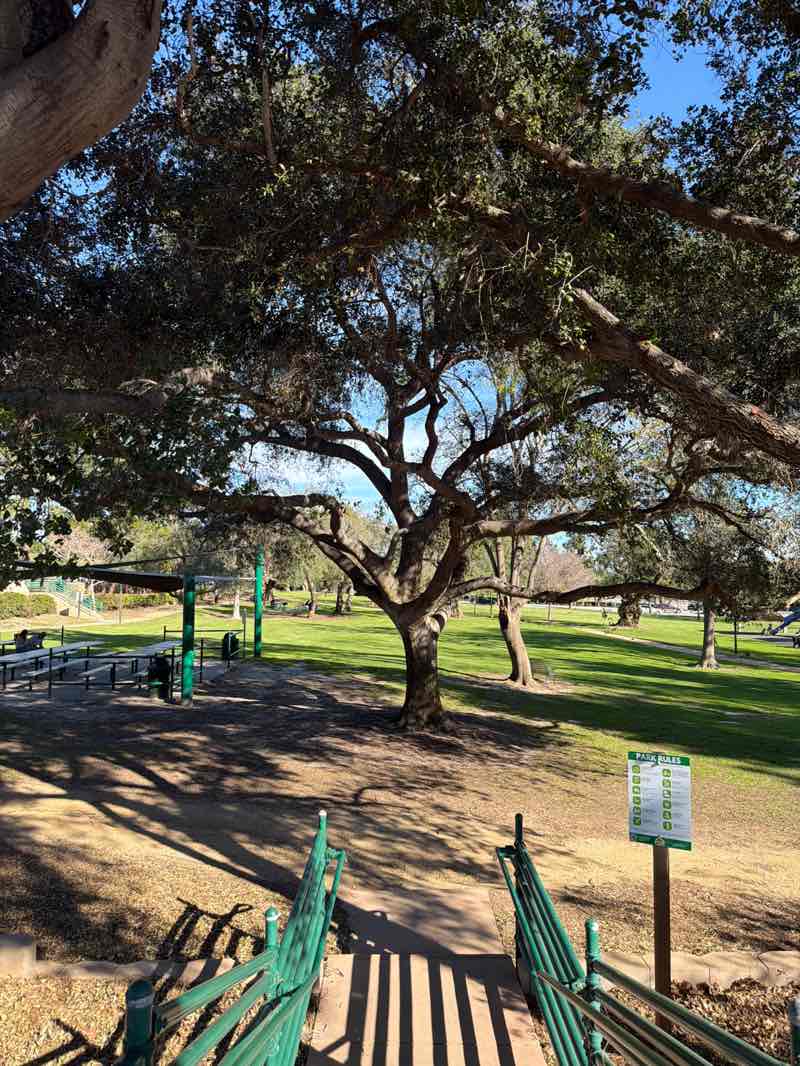 walking near me in Nancy Bush Park in winter