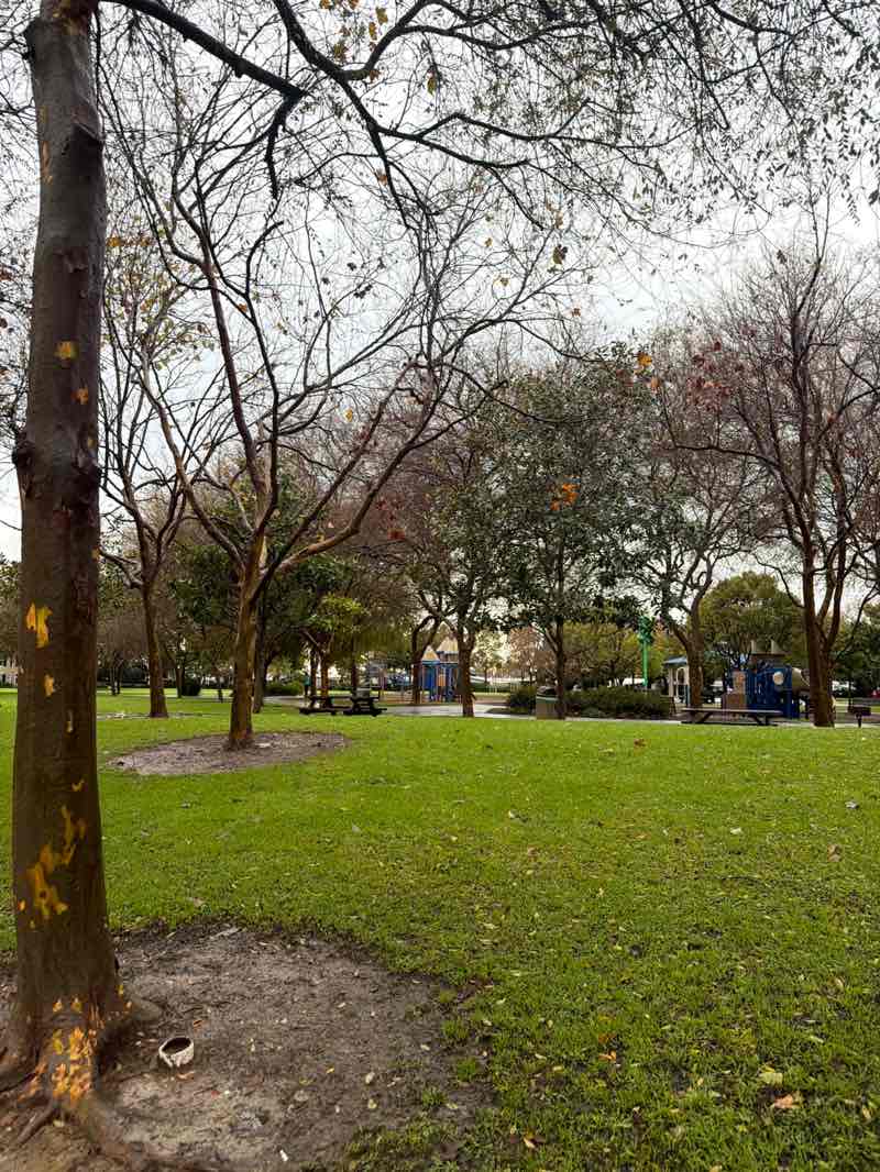 walking near me in Thille Park in winter