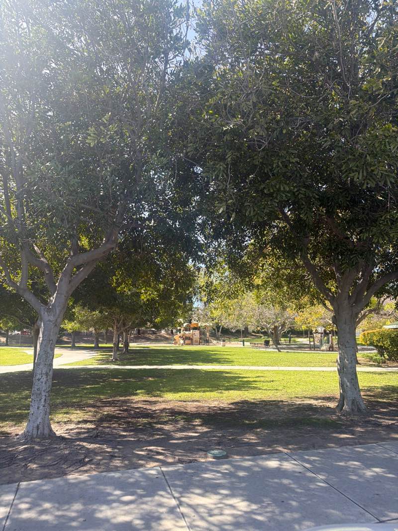 walking near me in Mariposa Valley Park in winter
