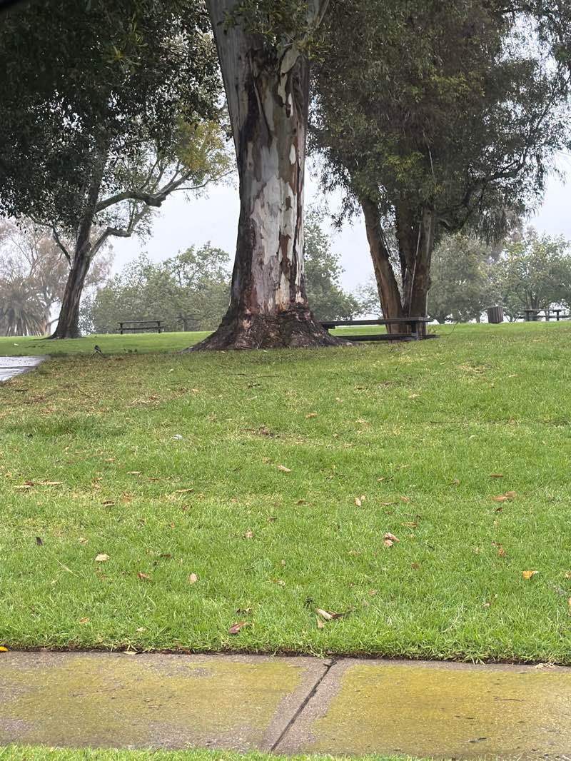walking near me in Atherwood Park in winter