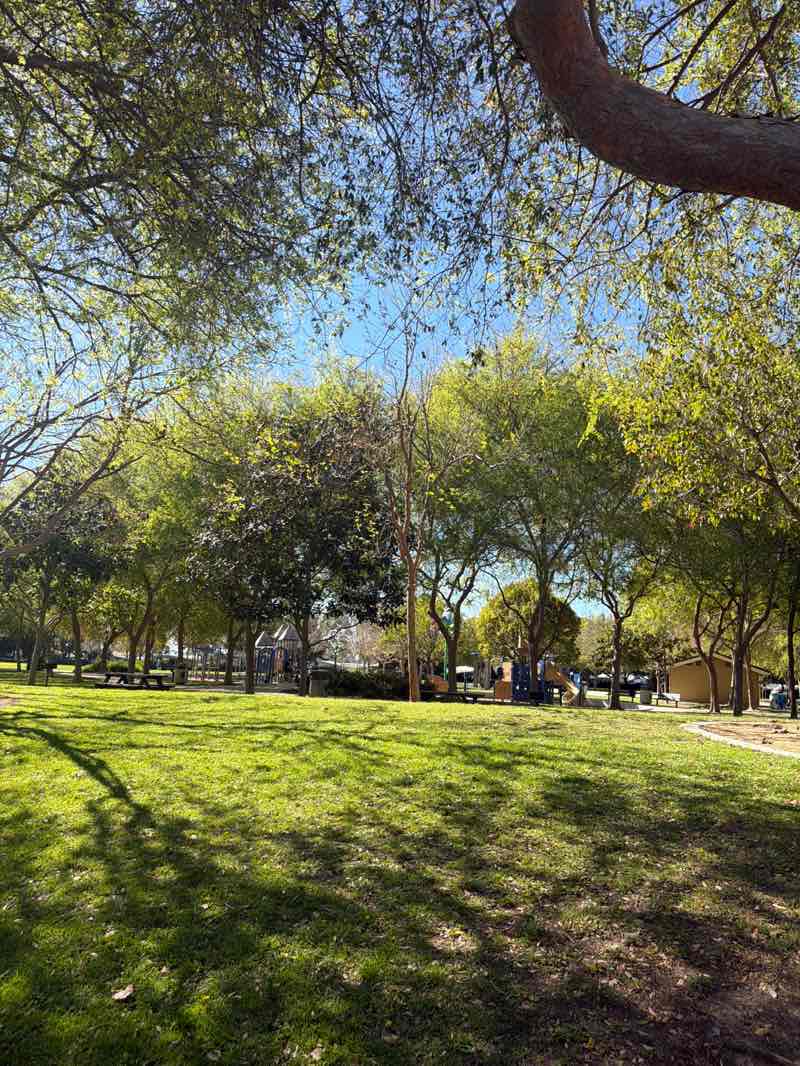 walking near me in Thille Park in winter
