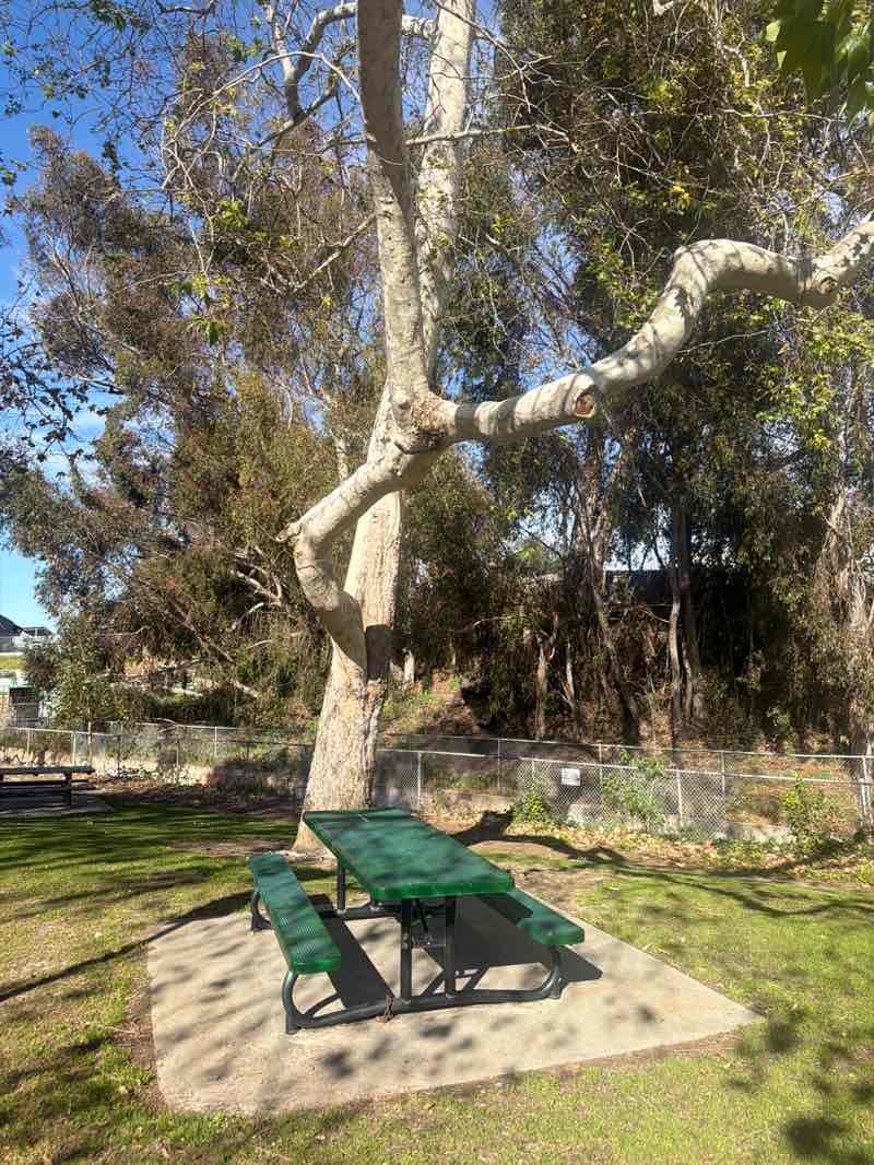 walking near me in Ocean Avenue Park in winter