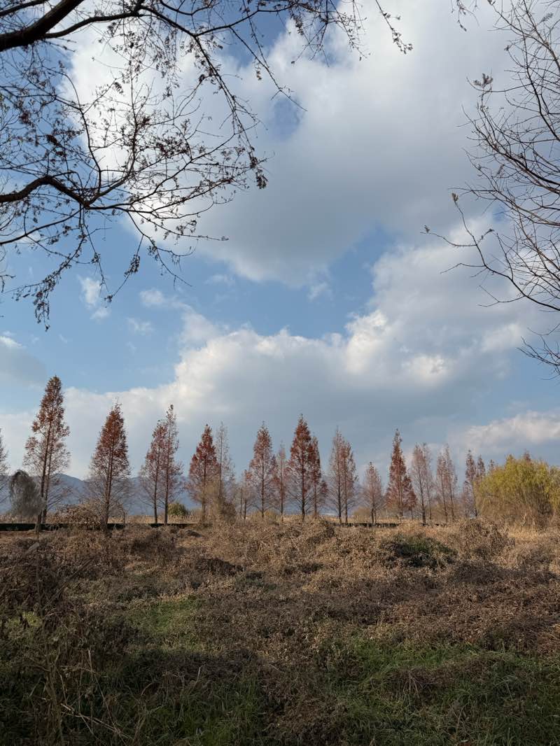 walking near me in 장미원 in winter