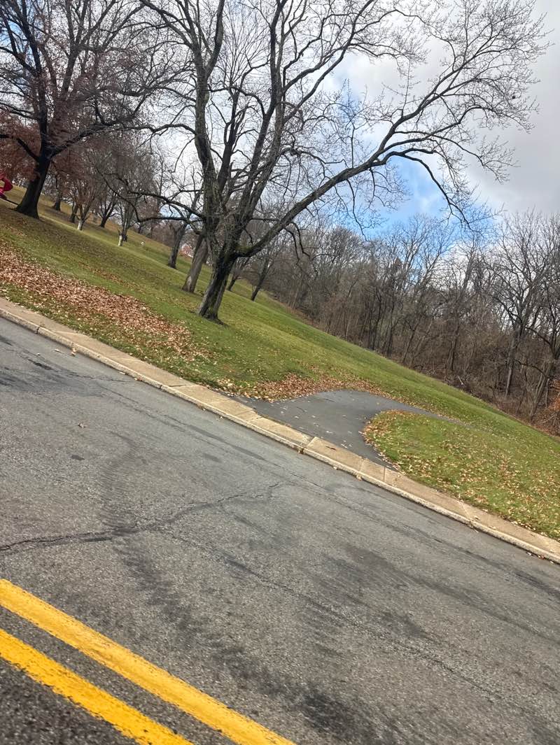 walking near me in Saint Clair Park in autumn