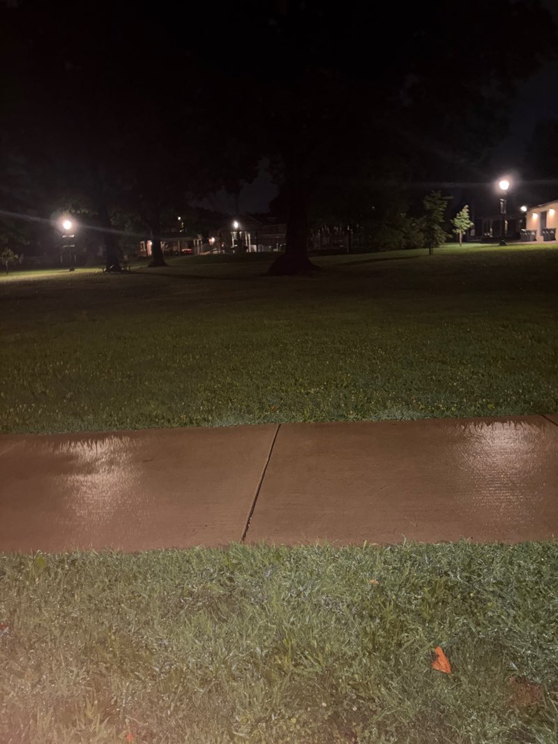 walking near me in Reeves Park in summer
