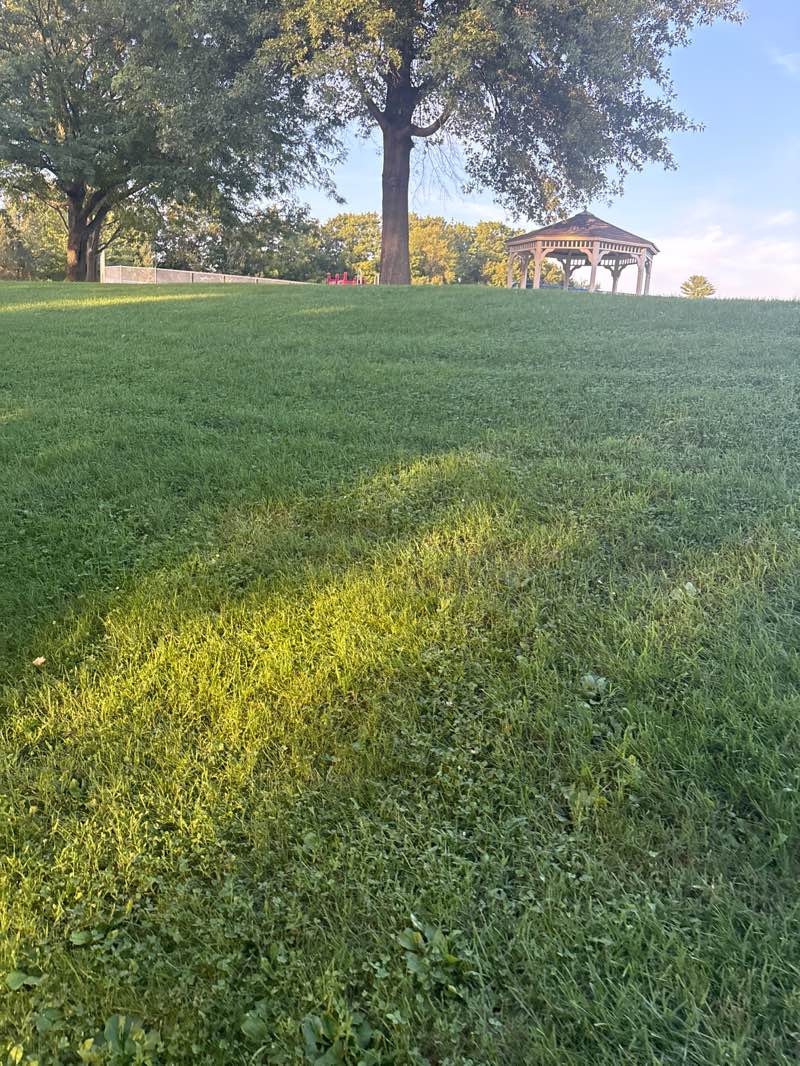 walking near me in Kimberton Community Park in autumn