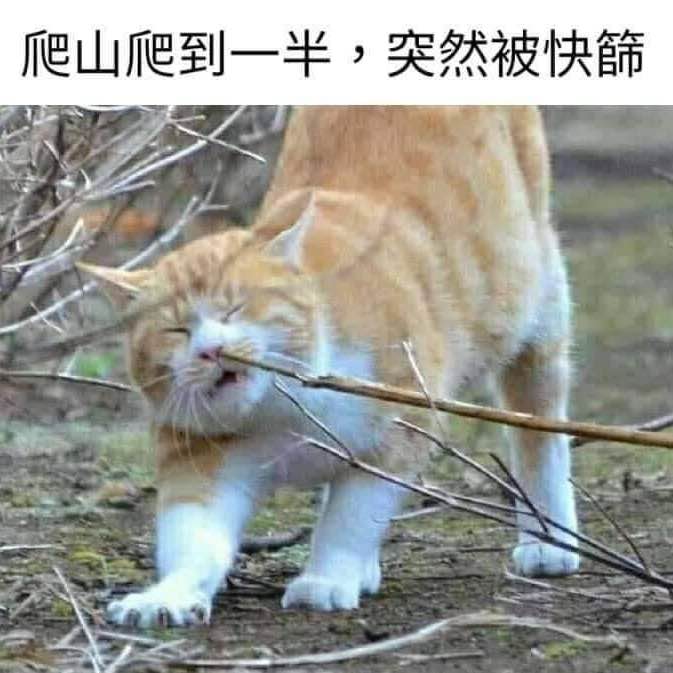 台16線走跳組 post 1