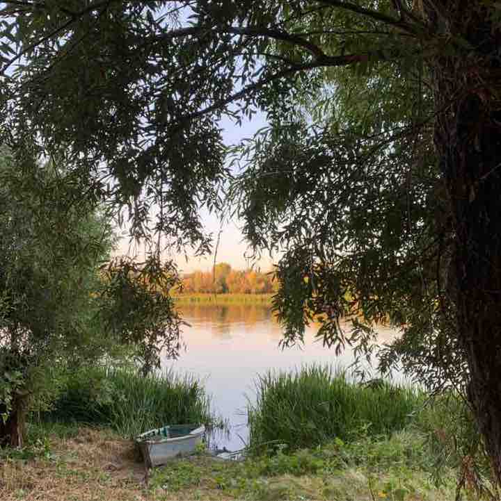 Natalia Manturova post 2