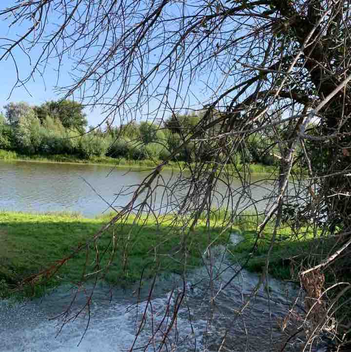 Natalia Manturova post 2