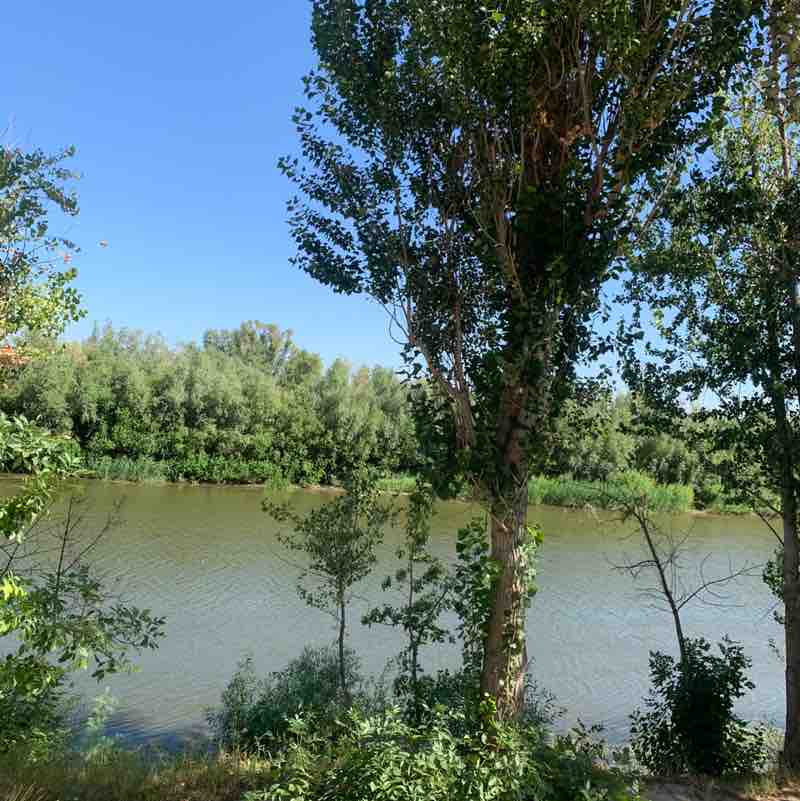 Natalia Manturova post 2