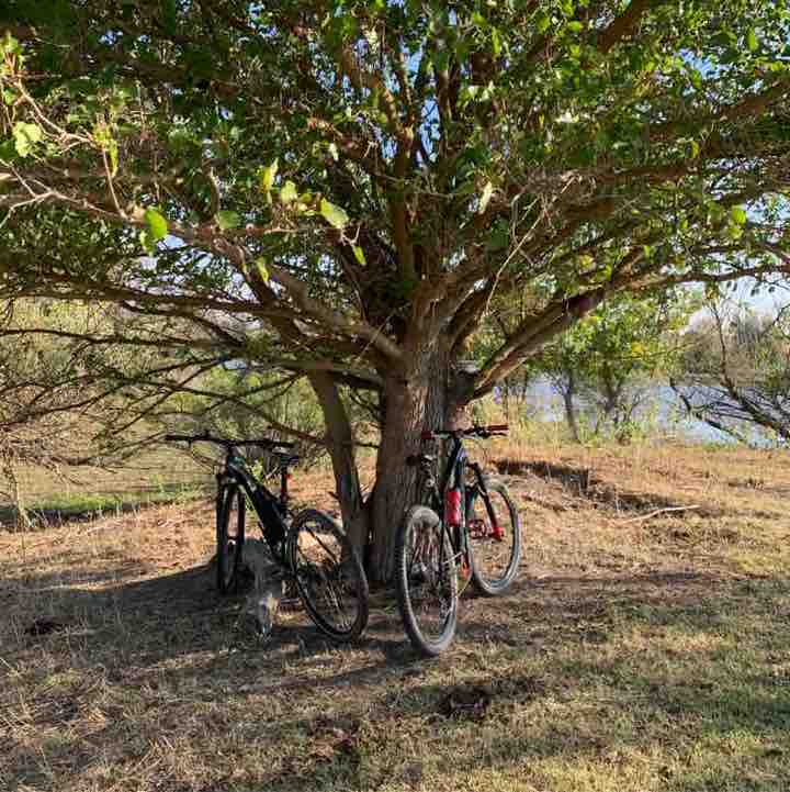 Natalia Manturova post 1