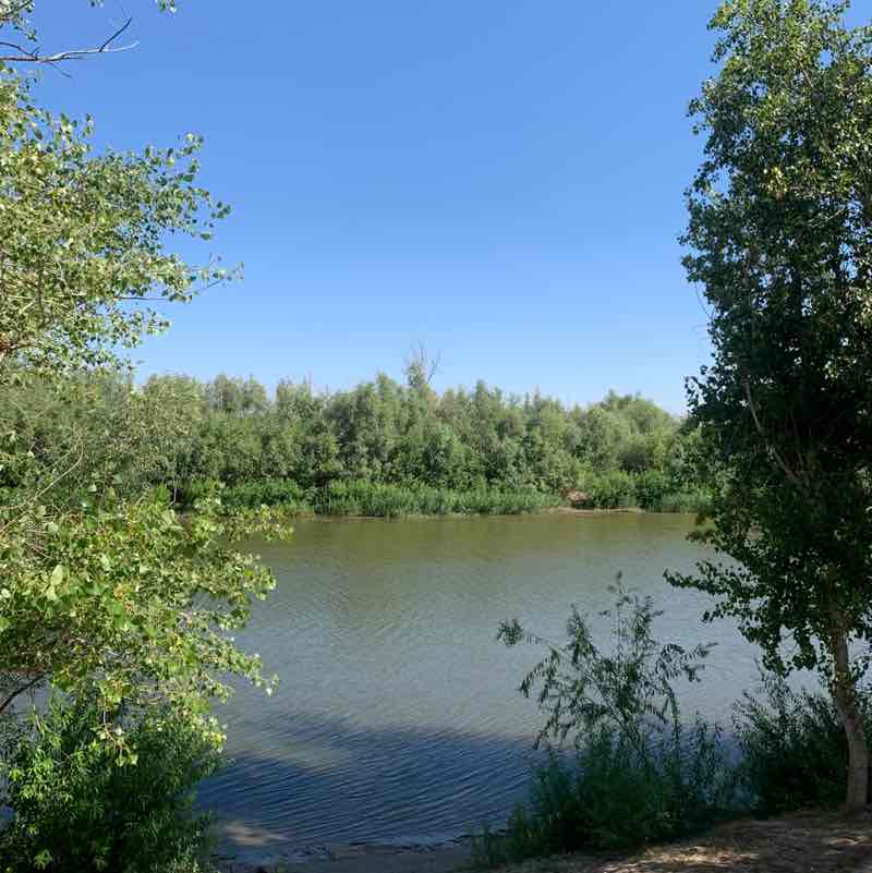 Natalia Manturova post 1