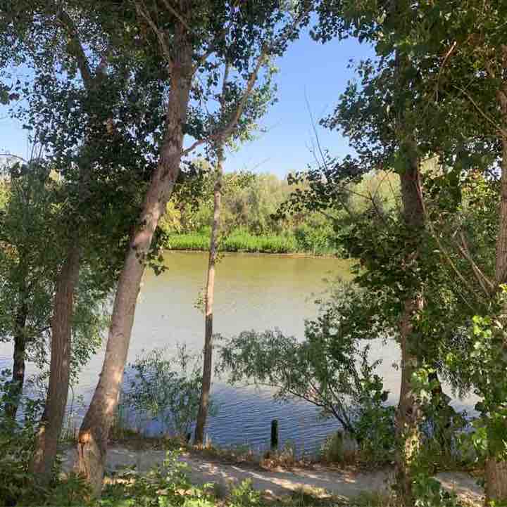 Natalia Manturova post 3