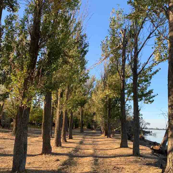 Natalia Manturova post 3