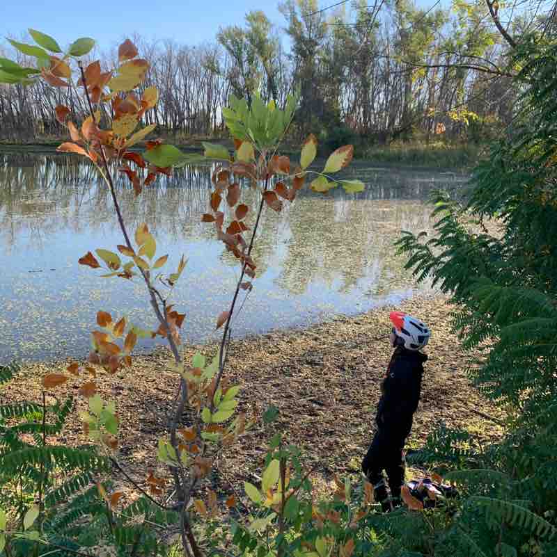 Natalia Manturova post 2