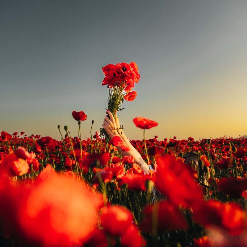 Анюта🦋 profile