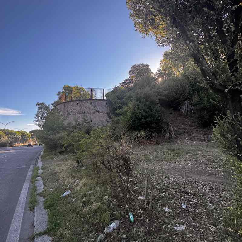 Roma in movimento๐๐ผโโ๏ธ๐๐ฝ Mauro post image