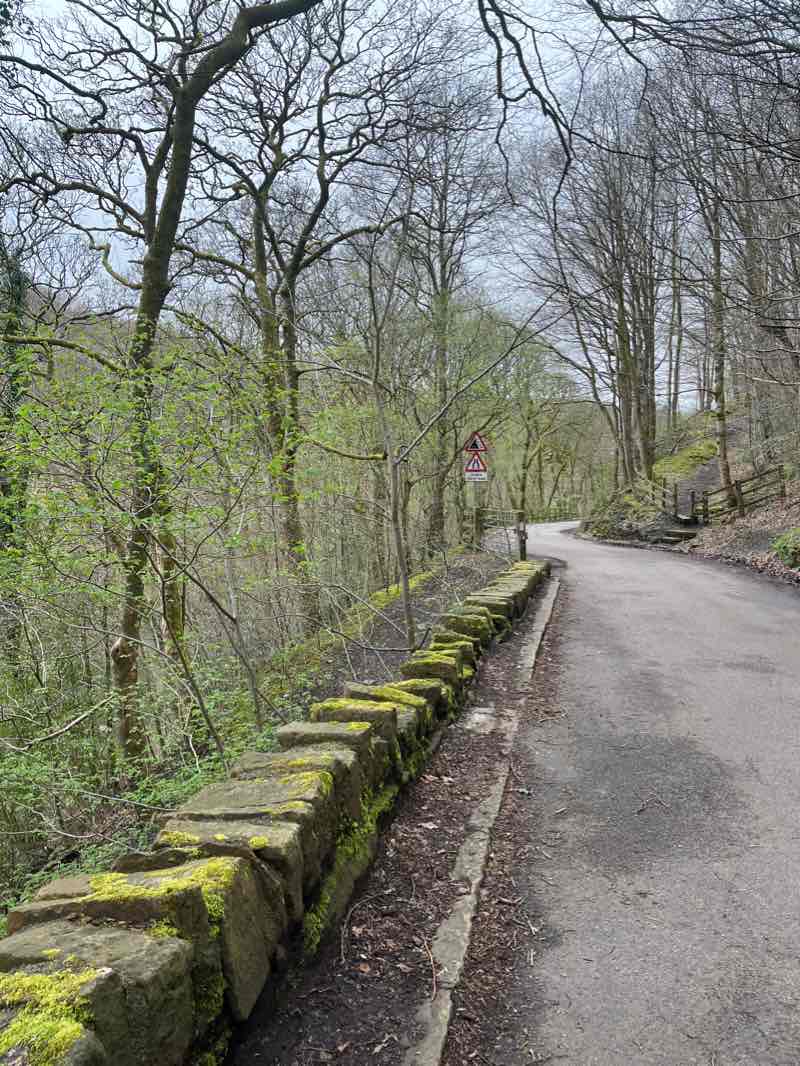 walking near me in Denehurst Park in winter