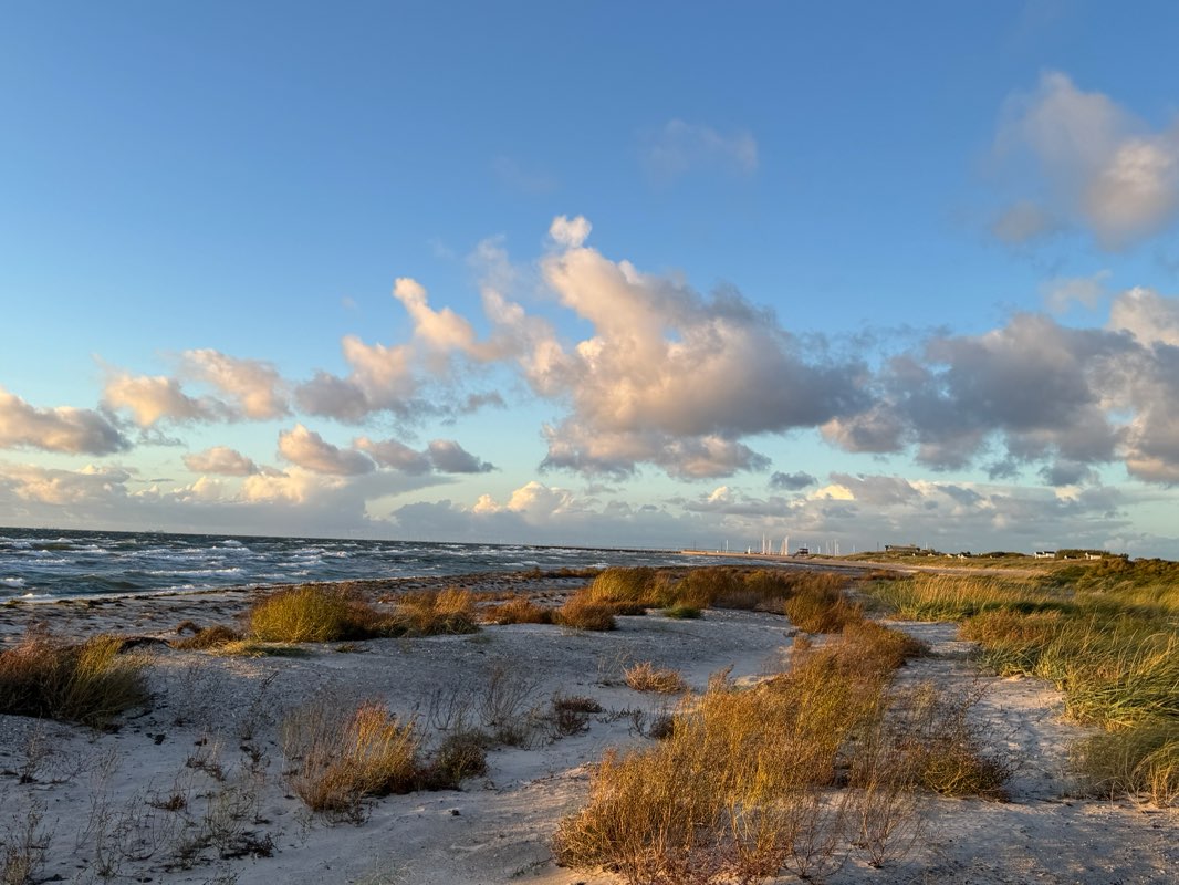 walking near me in Axelssons torg in winter