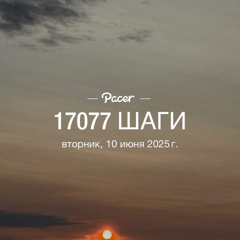 PeLiNi 🐢🐢🐢 post 1