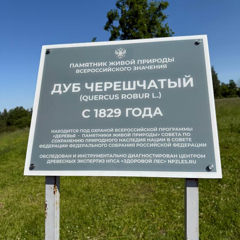 PeLiNi 🐢🐢🐢 post 2