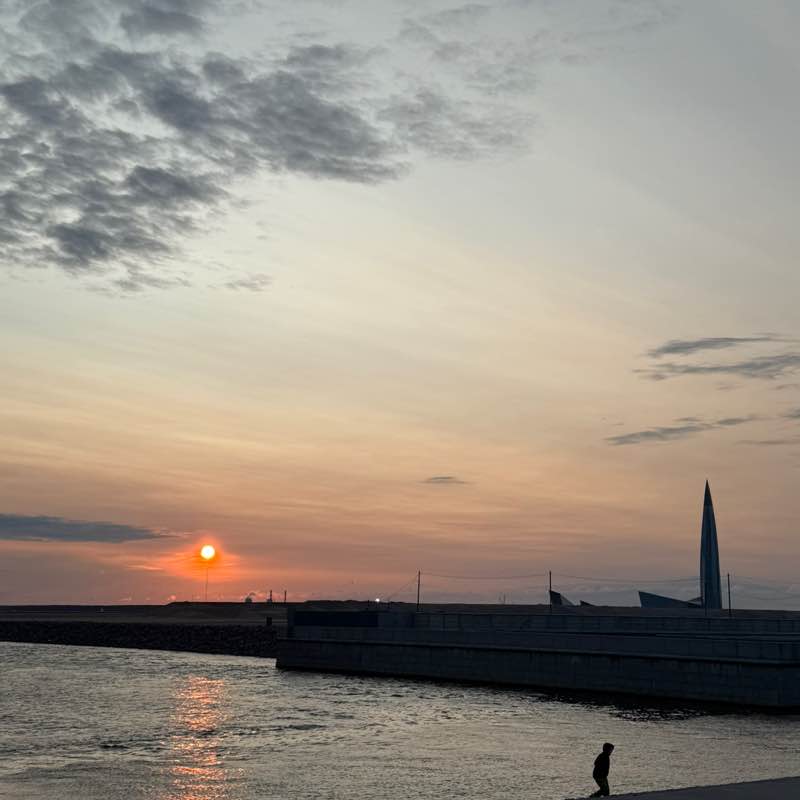 PeLiNi 🐢🐢🐢 post 2