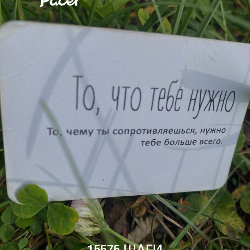 PeLiNi 🐢🐢🐢 post 1