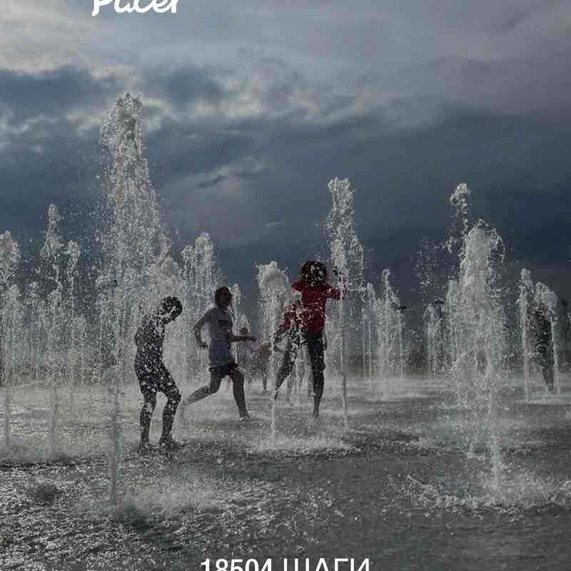 PeLiNi 🐢🐢🐢 post 1