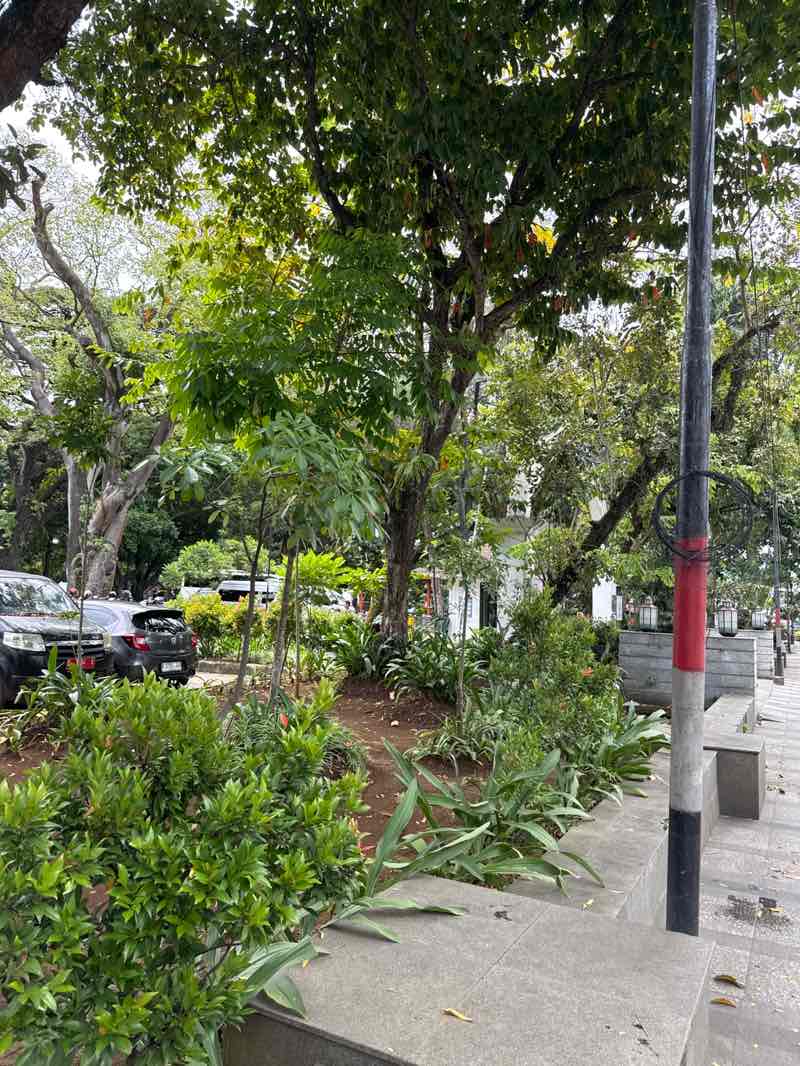 walking near me in Kebun Radja in autumn