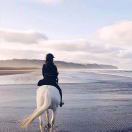 杰客丹尼家具小马