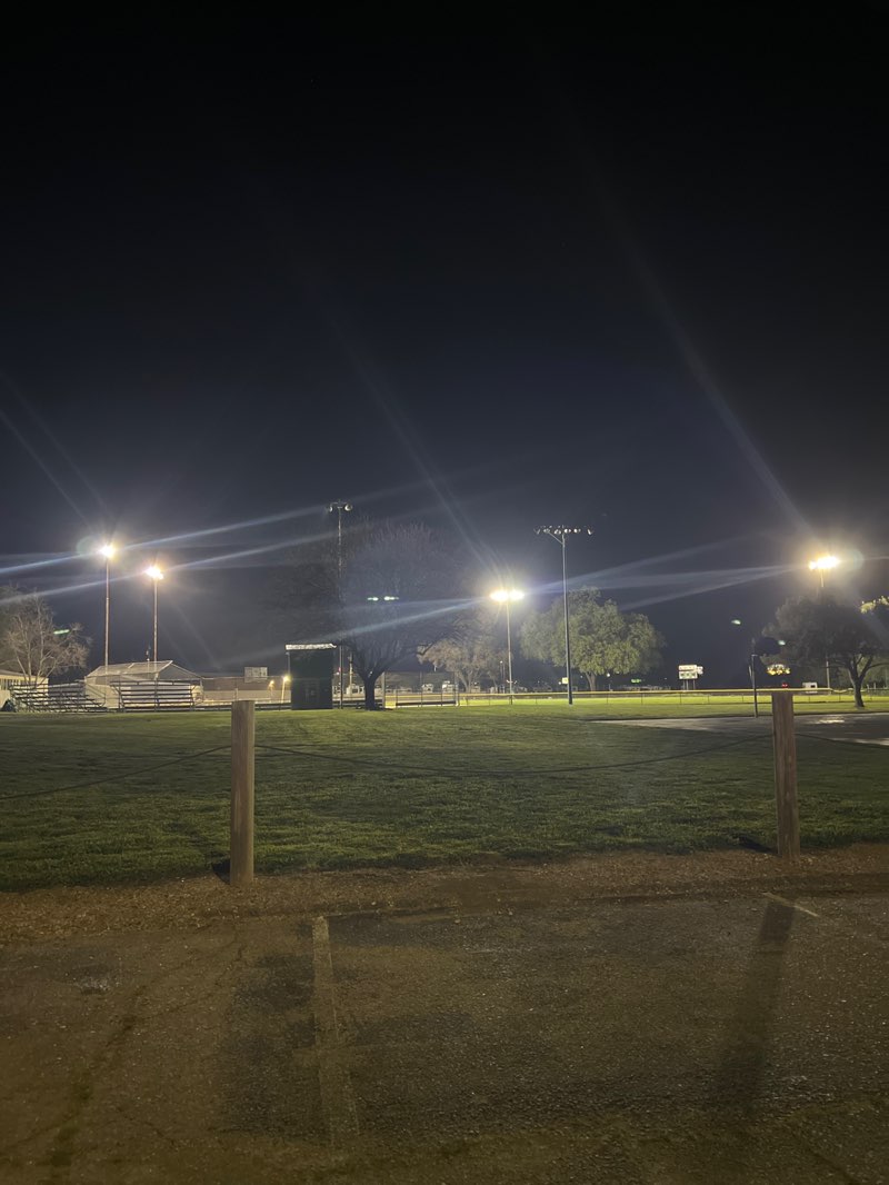 walking near me in Pioneer Park in spring