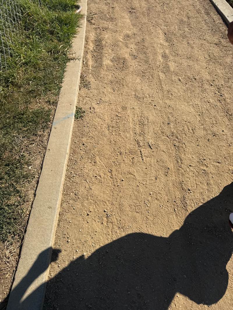 walking near me in Lennox Park in summer