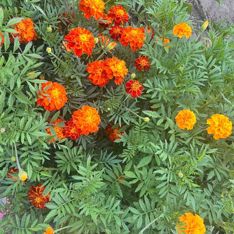 Наиля Хаки post 2