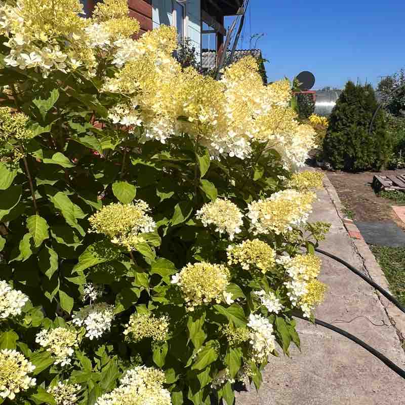 Наиля Хаки post 3