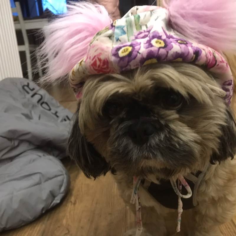 Aktywnie z psem MTB CANYON post image