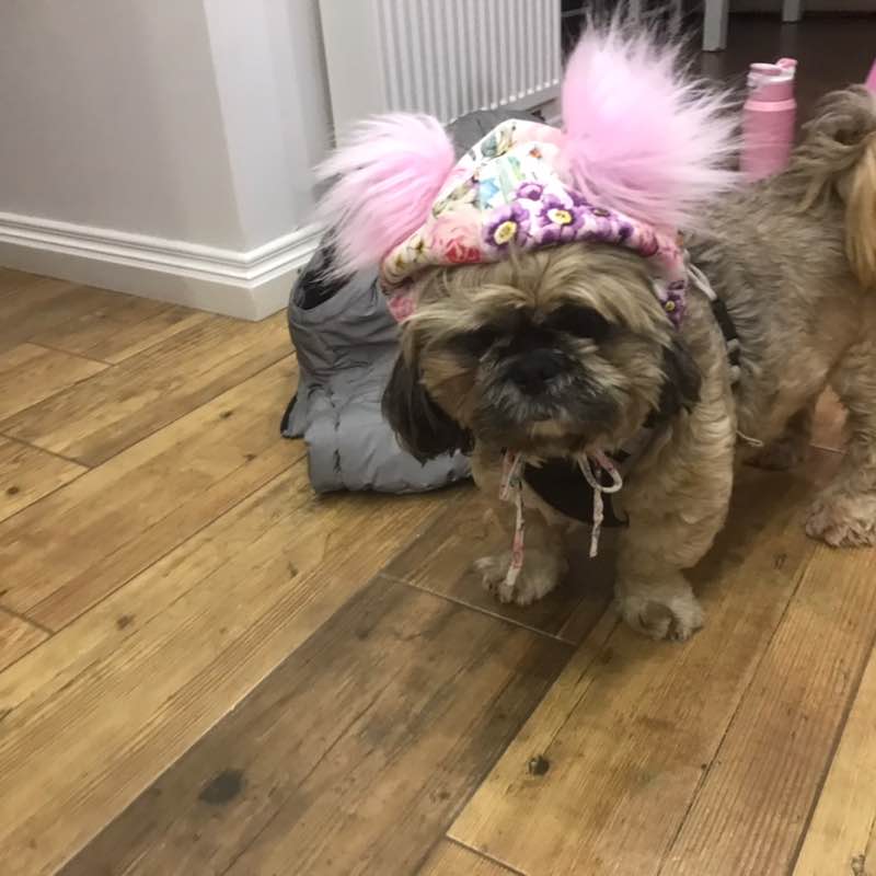 Aktywnie z psem MTB CANYON post image